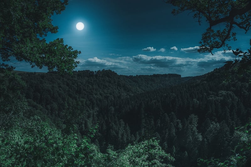 Moonlit Dinner Party