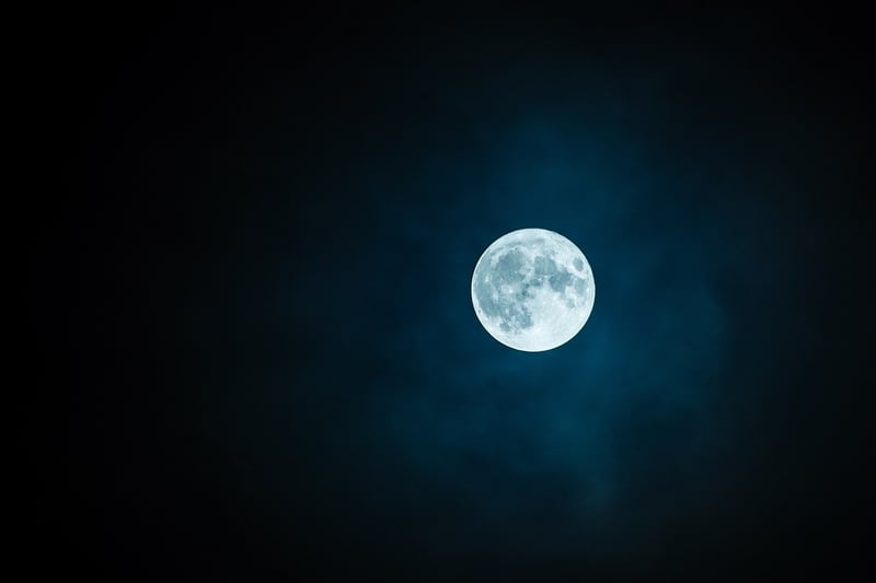 Moonlit Garden